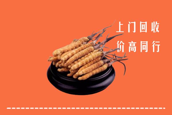 高价求购：鹤壁回收散虫草