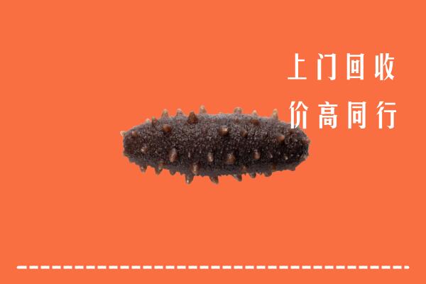 高价求购：鹤壁回收海参