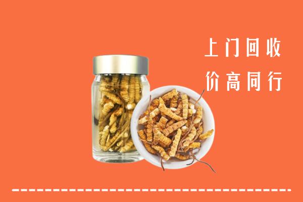 鹤壁回收冬虫夏草