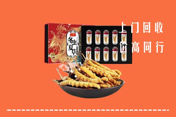 鹤壁回收虫草